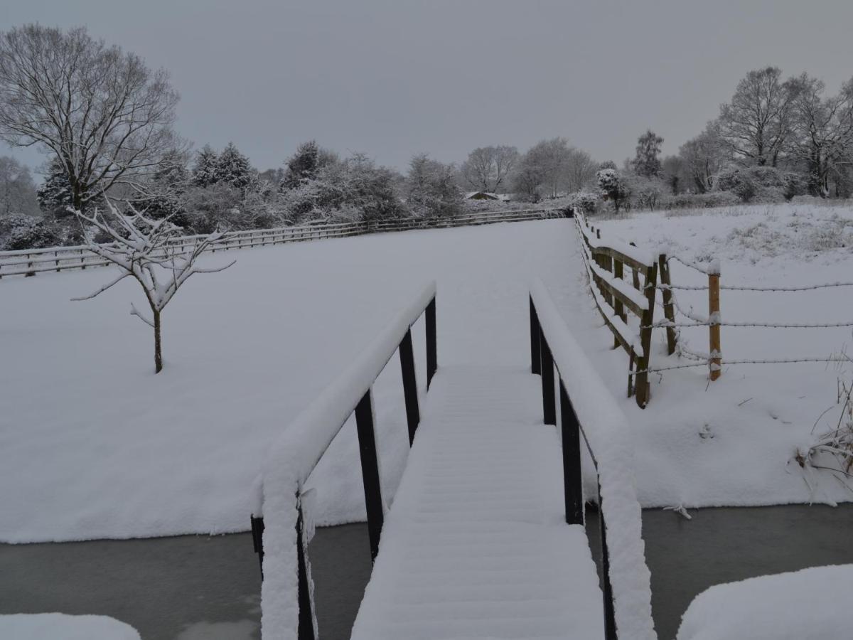 Wortwell Hall Barn エクステリア 写真